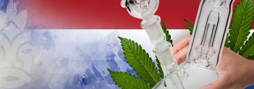 Cannabisfreundlichsten Länder: Niederlande